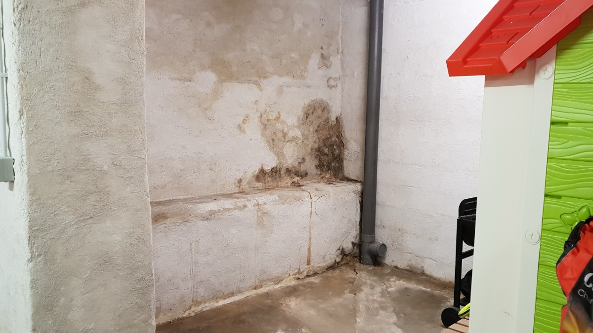Infiltrations d'eau - Expertise humidité à Angoulême